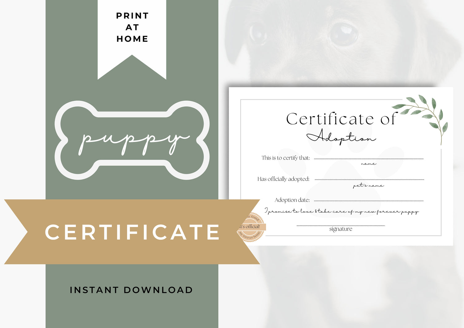 Pet Adoption Certificates